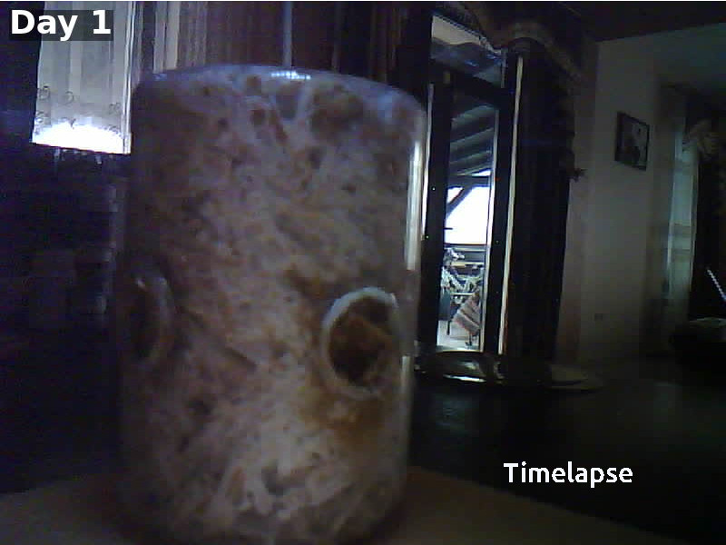 Timelapse Thumbnail